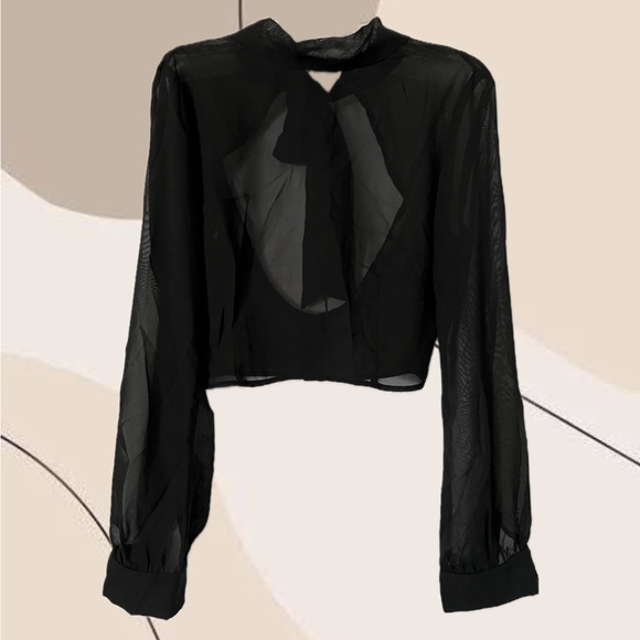 Sheer Crop Top - Picture 1 of 2